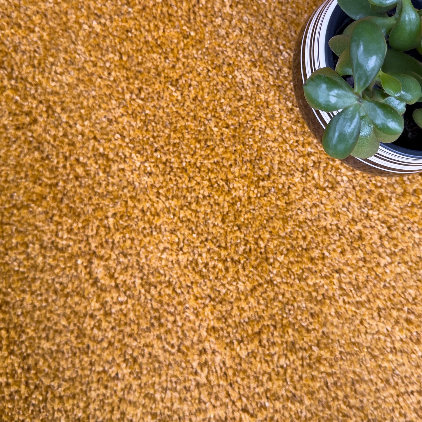 Remi Amber Rug