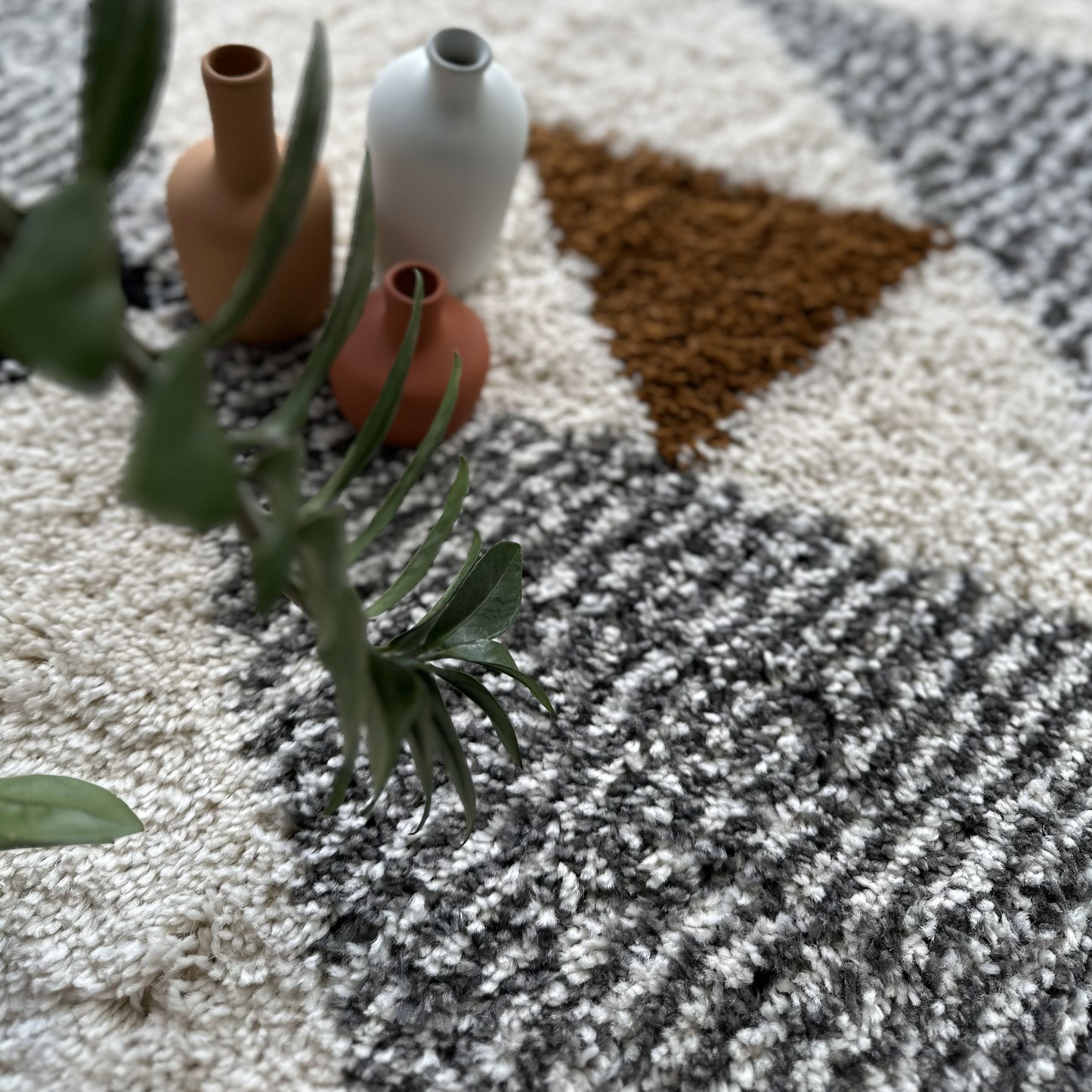 Tasmin Modern Earth Rug