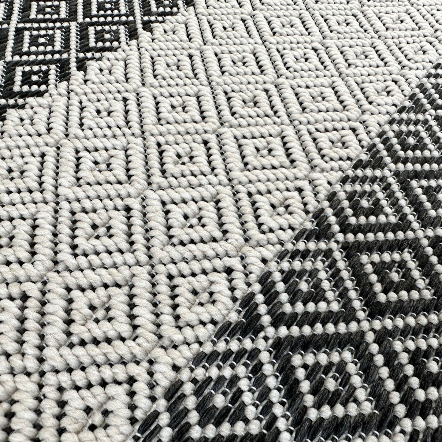 Kosta Indoor/Outdoor Trellis Black Rug